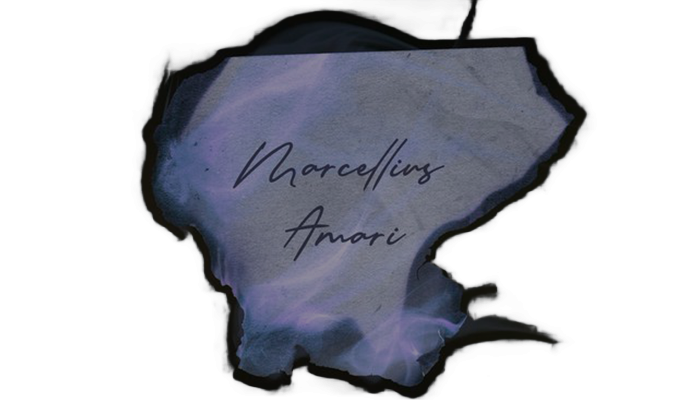 Marcellius Amari, Ravenclaw