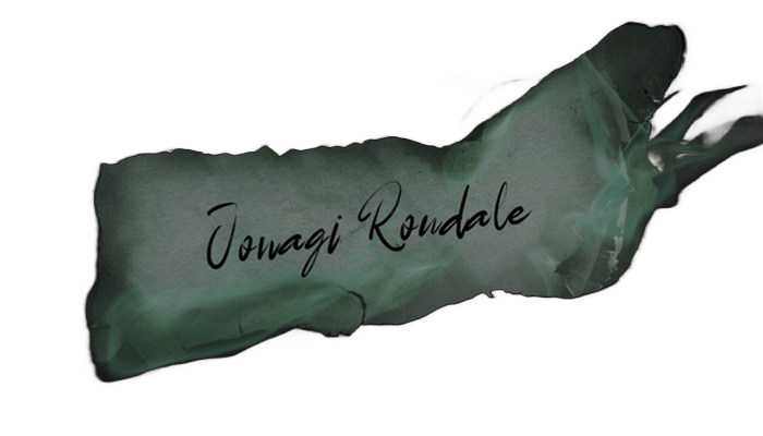 Jonagi Roudale, Slytherin